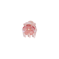 Kalina Hair Claw Sunrise