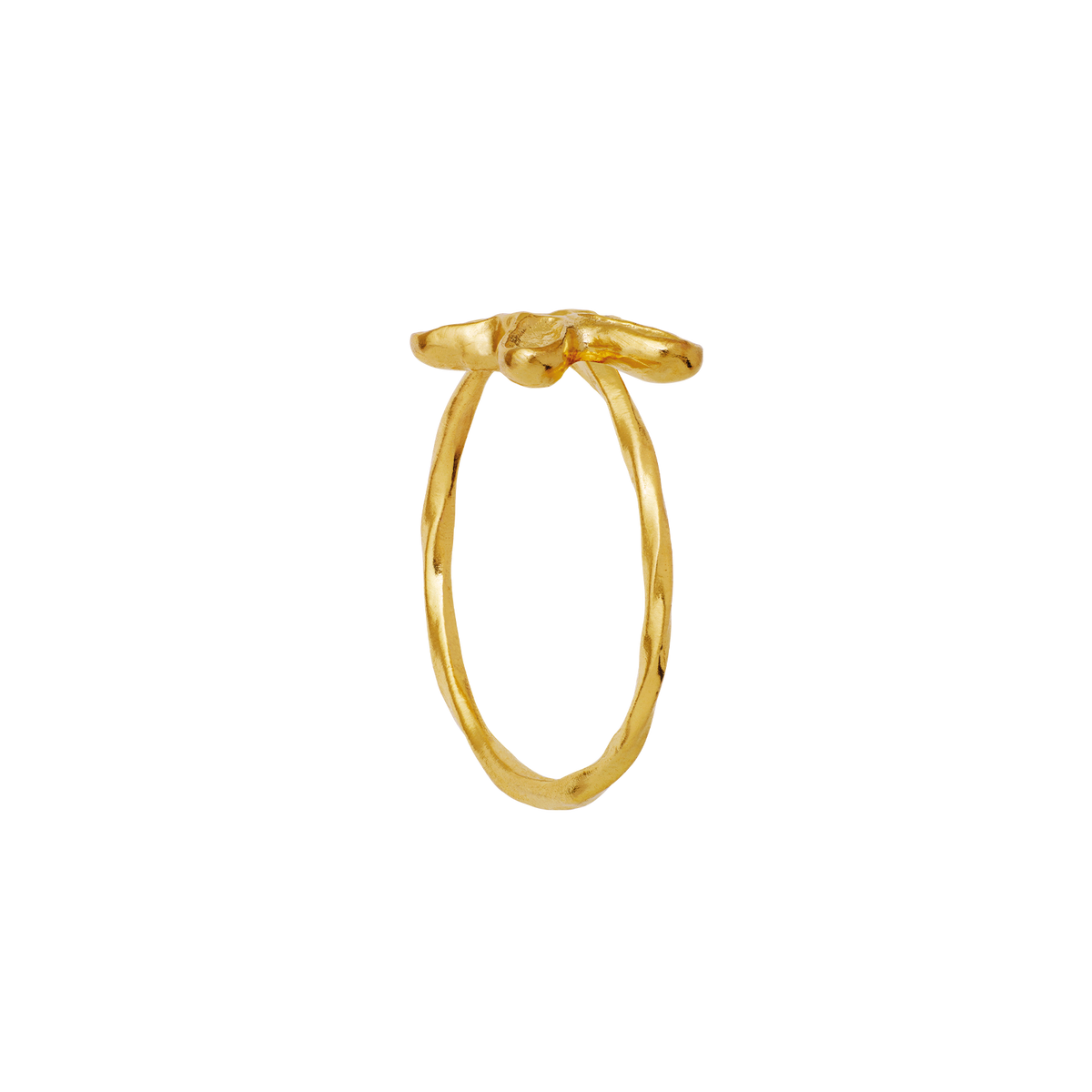 Pepe Ring – Maanesten EU