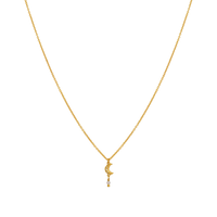 Siva Necklace