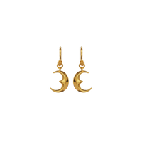 Moonie Earrings