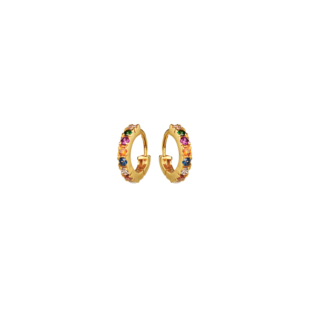 Nubia Color Earrings